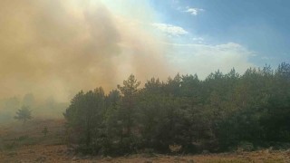 Boluda anız yangını ormana sıçradı: 2 helikopter sevk edildi