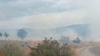 Bolu'da arazi yangını ormanlık alana ulaşmadan söndürüldü