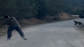 Bolu'da karşılarına çıkan ayıyı taşla kovaladılar