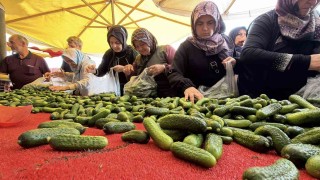 Bolu'da kışlık yiyecek telaşı