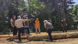 Boluda ormancılık faaliyetlerine saha denetimi