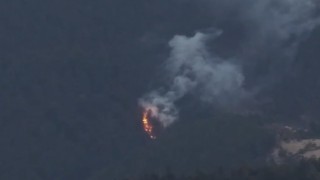 Bolu'da ormanlık alanda yangın çıktı