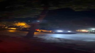 Boluda yola çıkan köpekler zincirleme kazaya neden oldu