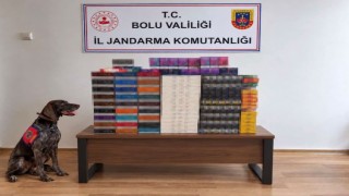 Bolu'da yolcu otobüslerinde kaçak tütün operasyonu: Piyasa değeri 760 bin TL