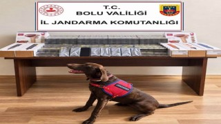 Bolu'da yolcu otobüsünde kaçak ürün ele geçirildi