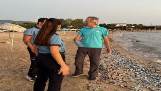 Bozbük İncekum Plajında balık ölümleri inceleniyor