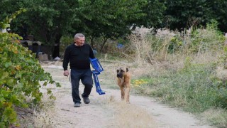 Bozkırın ortasında 15 yıllık emek: Emekli öğretmen yeşil vaha oluşturdu