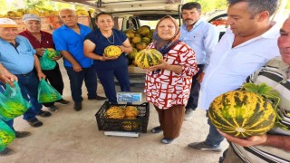 Bu kavun tek damla su verilmeden yetişiyor
