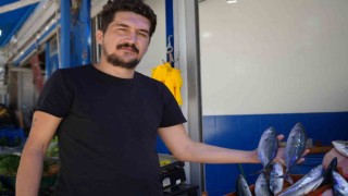 Bu sene vatandaşlar palamuda doyacak