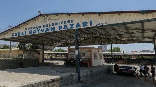 Burdur'da hayvan pazarı şap hastalığı nedeniyle geçici olarak kapatıldı