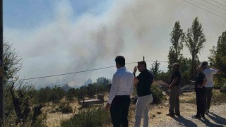 Burdurda orman yangını