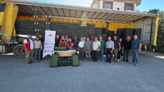 Burhaniye'de çiftçilere 300 bin 300 adet marul fidesi dağıtıldı