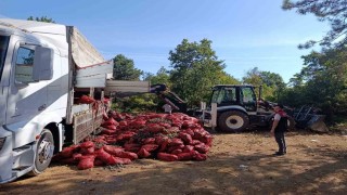 Bursada 8 ton midye ele geçirildi