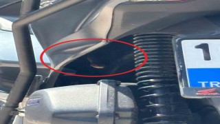 Bursada motosikletten çıkan yılan şoke etti