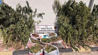 Bursada uyuşturucu operasyonu: 22 kilo 675 gram esrar ele geçirildi