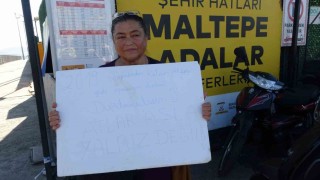 Büyükadada kalan son 16 at için ‘gizli sevk iddiası: Hayvanseverlerden işlemleri durdurun çağrısı
