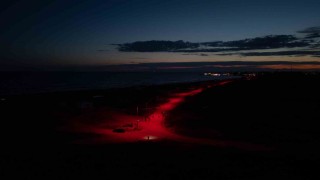 Carettalar için deniz yoluna LED ışık döşendi