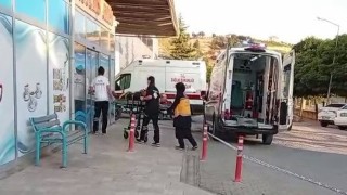 Ceviz ağacından düşen kişi yaralandı