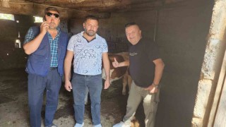 Çivrilde kaybolan iki buzağı mahalle halkını seferber etti