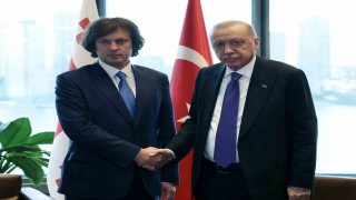 Cumhurbaşkanı Erdoğan, Gürcistan Başbakanı Kobakhidze ile görüştü