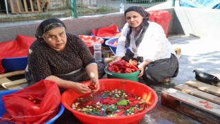 Damlar şarkılı türkülü salça mesaisi ile kırmızıya boyandı
