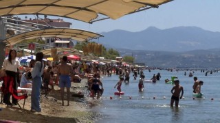 Deniz sezonunun bitmesine yakın Bursanın sahillerinden sevindiren haber