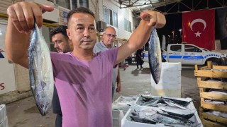 Denizlerde av sezonu başladı, Marmarada ilk gün sardalya bereketi yaşandı