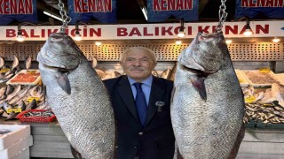 Denizlerdeki bereket tezgahlara da yansıdı