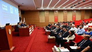 Denizlide sahipsiz hayvanlar için kritik zirve