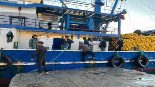 Didim'de hamsi kotası denetimleri sürüyor