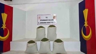 Diyarbakır'da 14 bin kök kenevir, 129 kilo esrar ele geçirildi