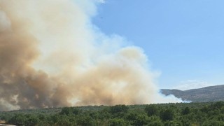 Diyarbakır'da ormanlık alanda yangın
