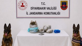 Diyarbakır’da Yasa Dışı Kenevir Operasyonu: 5 Ton Kenevir İmha Edildi