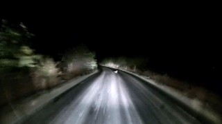 Edirnede araç farlarına yakalanan tilkinin kaçış anı kamerada