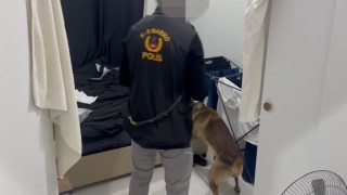 Edirne'de uyuşturucu operasyonu: Skunk, kokain, para ve hassas teraziler ele geçirildi