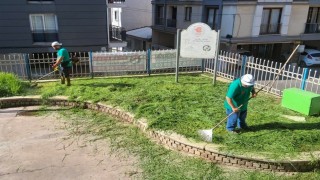 Efeler Belediyesi parklarda bakım çalışmalarını sürdürüyor