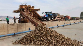Elazığ Şeker Fabrikası'nda 71. Kampanya Dönemi açıldı: 240 bin ton pancar işlenecek