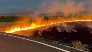 Elazığ'da arazi yangını