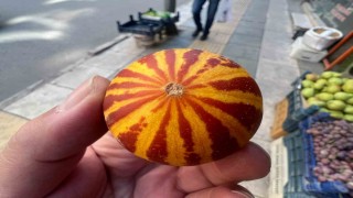 Elazığda kokulu süs kavunu tezgahlarda