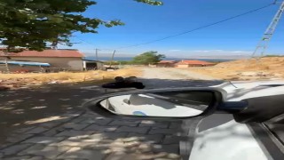 Elazığ'da yaşlı bir adam, zincirle ağaca bağlanmış şekilde görüntülendi