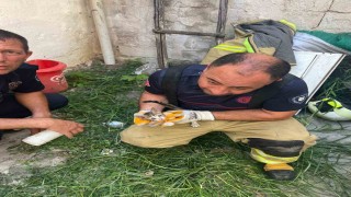 Erdekte iki bina arasına sıkışan yavru kedi kurtarıldı