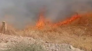 Ereğlide çıkan iki ayrı yangın paniğe neden oldu