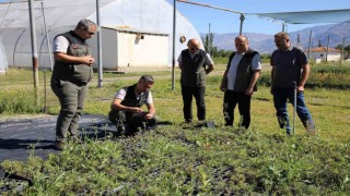 Erzincan Fidanlık Şefliğinde 2026 yılı üretim çalışmaları incelendi