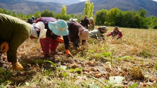 Erzincana 169,6 milyon liralık tarımsal hibe desteği