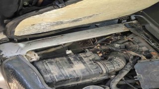 Erzincan'da araç motorunda mahsur kalan yavru kedi kurtarıldı