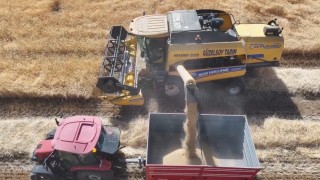Erzincanda baraj ve sulama suları tarlaları bereketle buluşturuyor