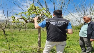 Erzincanda çiftçilere sahada teknik destek
