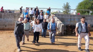 Eşbaşkan Bucak, hayvan borsasında incelemelerde bulundu