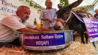 Eşek hoşafa direndi, ortaya renkli görüntüler çıktı