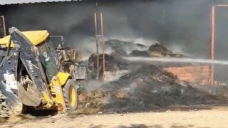 Eskişehirde çiftlikte çıkan yangında 15 küçükbaş telef oldu